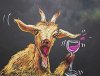 drunk goat.jpg