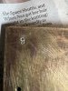 IMG_2157.jpeg