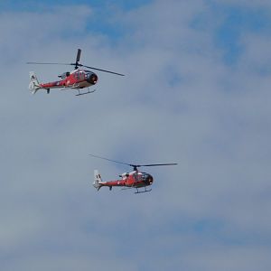 Gazelle Helicopter Squadron