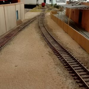 IMG20250727091431